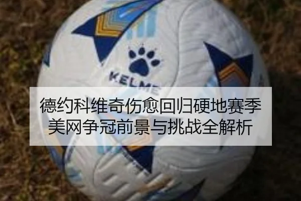 德约科维奇伤愈回归硬地赛季 美网争冠前景与挑战全解析
